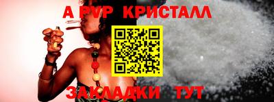 кокс Гатчина