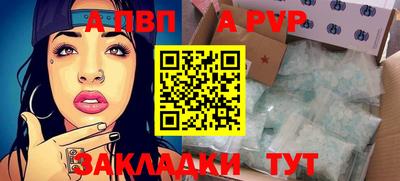 кокс Гатчина