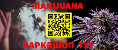 кокс Гатчина