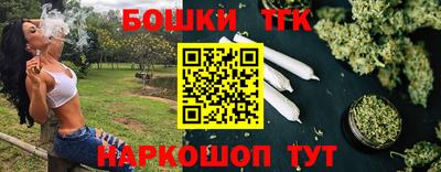 кокс Гатчина