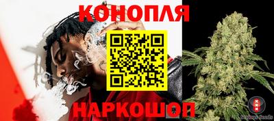 кокс Гатчина