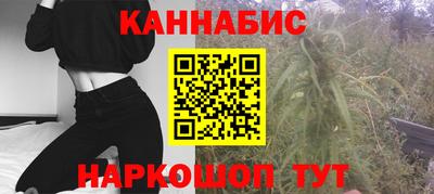 МДПВ Гагарин
