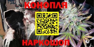 МДПВ Гагарин
